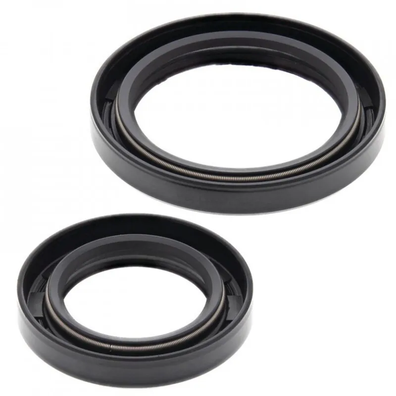 Sada gufer motoru WINDEROSA 55155 - Koupit online